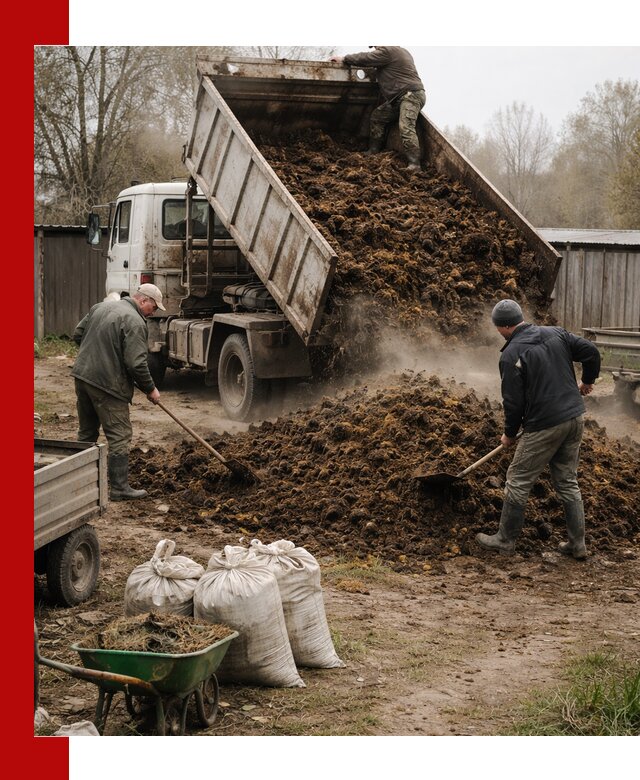 Доставка коровьего навоза самосвалом в Чехове